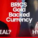 Is the BRICS Currency Real or Hype?